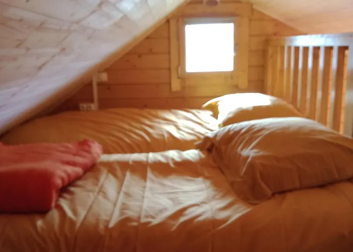 Le Cocon De Bois * Eglise-Neuve-de-Vergt